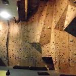 Climbing Wall